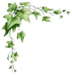 Ivy Clipart Border in 2019.