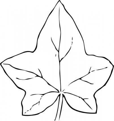 Ivy Leaf Clipart.