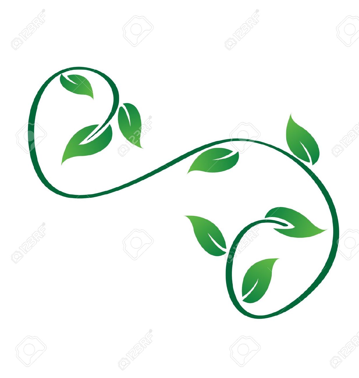 Ivy Leaves Clipart.