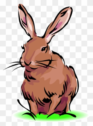 Free PNG Jackrabbit Clip Art Download.