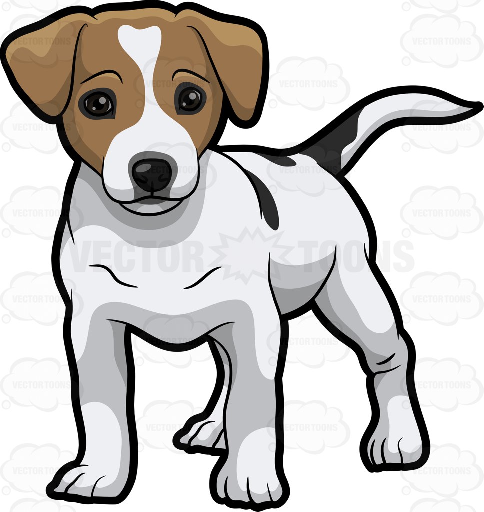 Jack Russell Terrier Clipart.