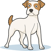 Clipart jack russell dog.