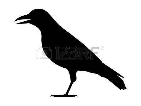 116 Jackdaw Stock Vector Illustration And Royalty Free Jackdaw Clipart.