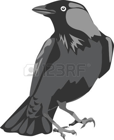 116 Jackdaw Stock Vector Illustration And Royalty Free Jackdaw Clipart.