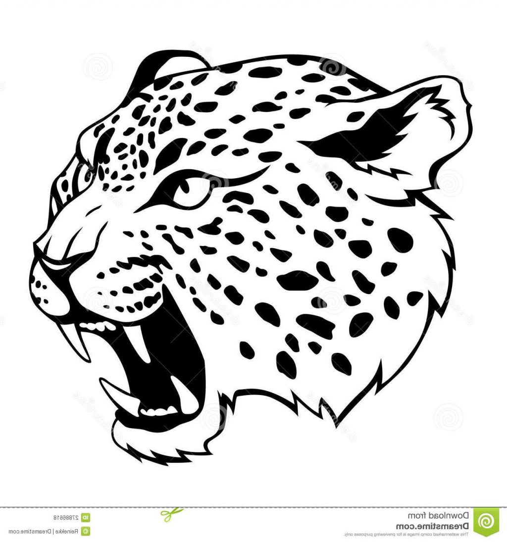 jaguar head clipart 10 free Cliparts | Download images on Clipground 2024