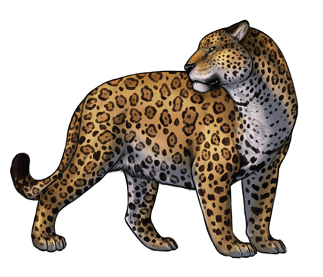 Jaguar PNG images free download.