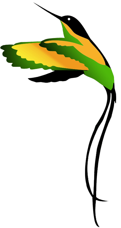 jamaican national bird clipart.