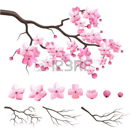 75,405 Cherry Stock Vector Illustration And Royalty Free Cherry.