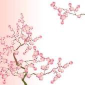 Japanese Flowering Cherry Clip Art.