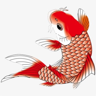 chinese fish clipart 10 free Cliparts | Download images on Clipground 2024