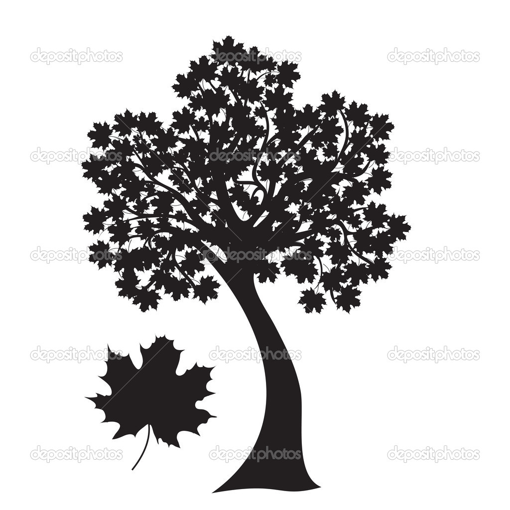 Japanese maple clipart 20 free Cliparts | Download images on Clipground ...