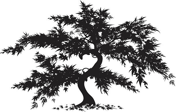 Japanese maples clipart 20 free Cliparts | Download images on