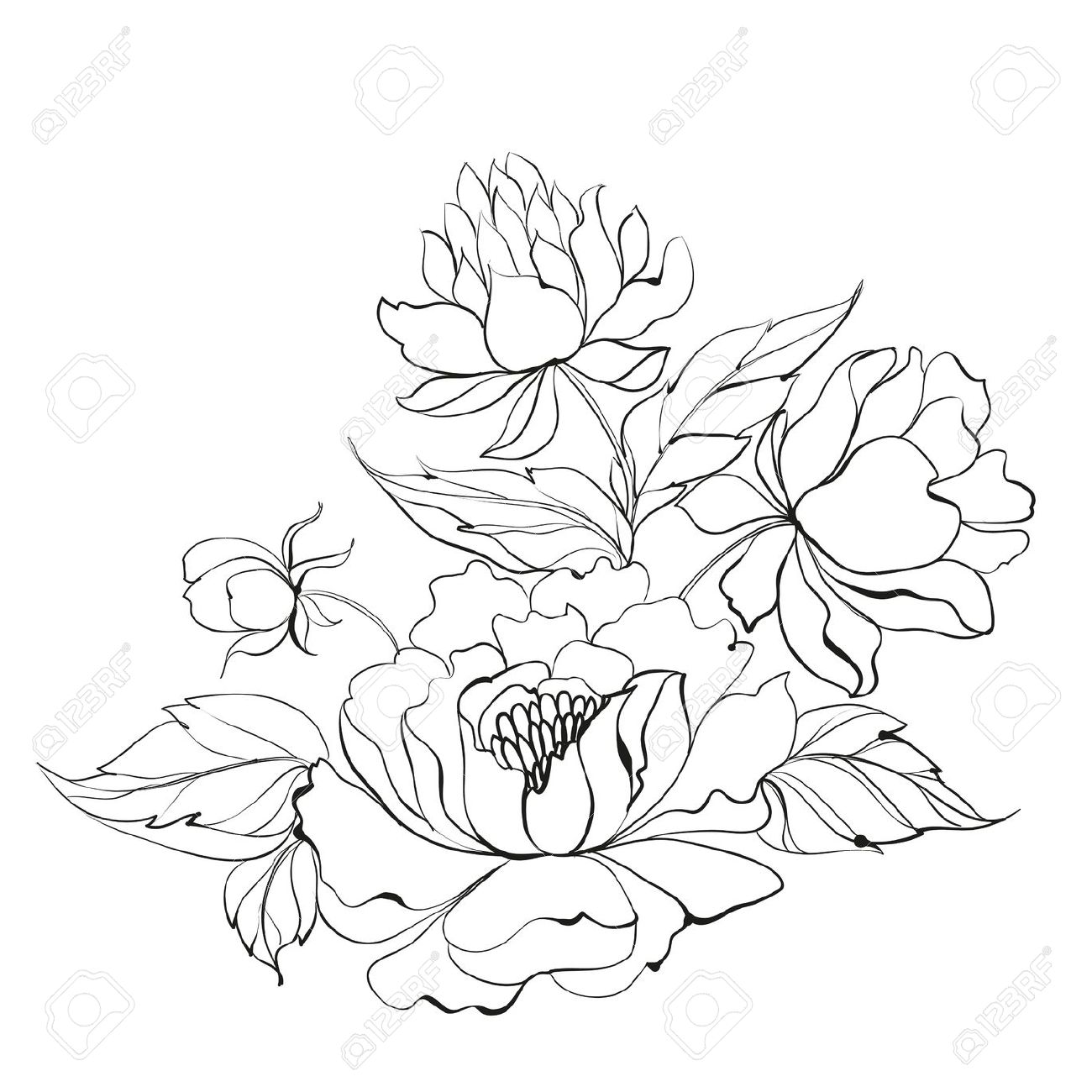 Japanese peonies clipart 20 free Cliparts | Download images on