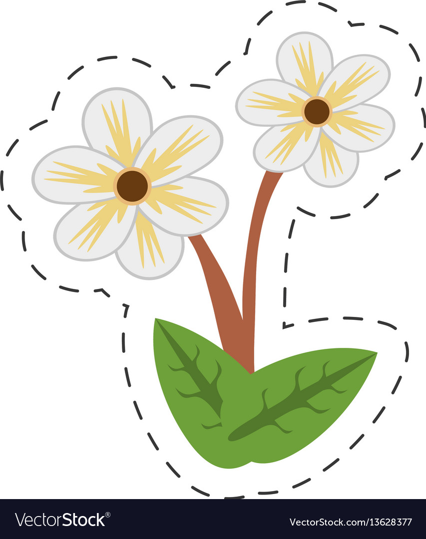Cartoon jasmine flower image.