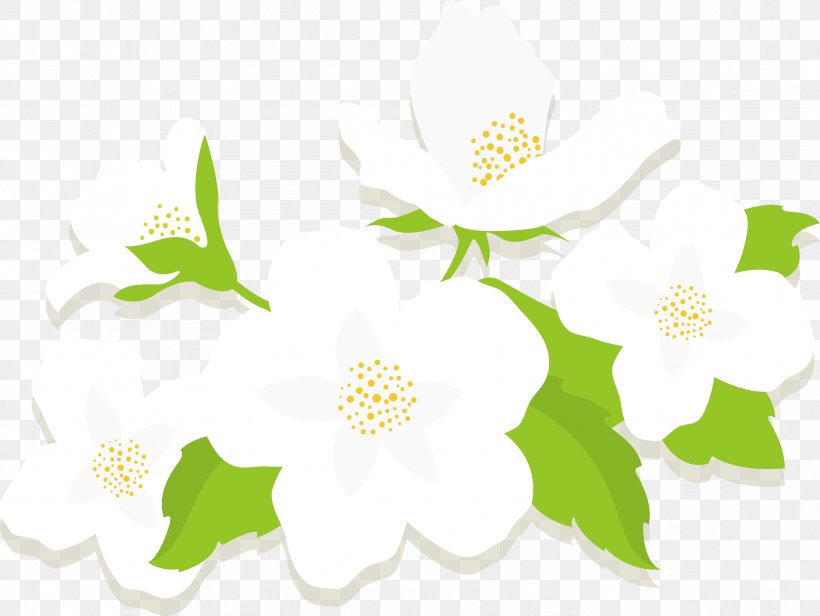 jasmine flower vector clipart 10 free Cliparts | Download ...