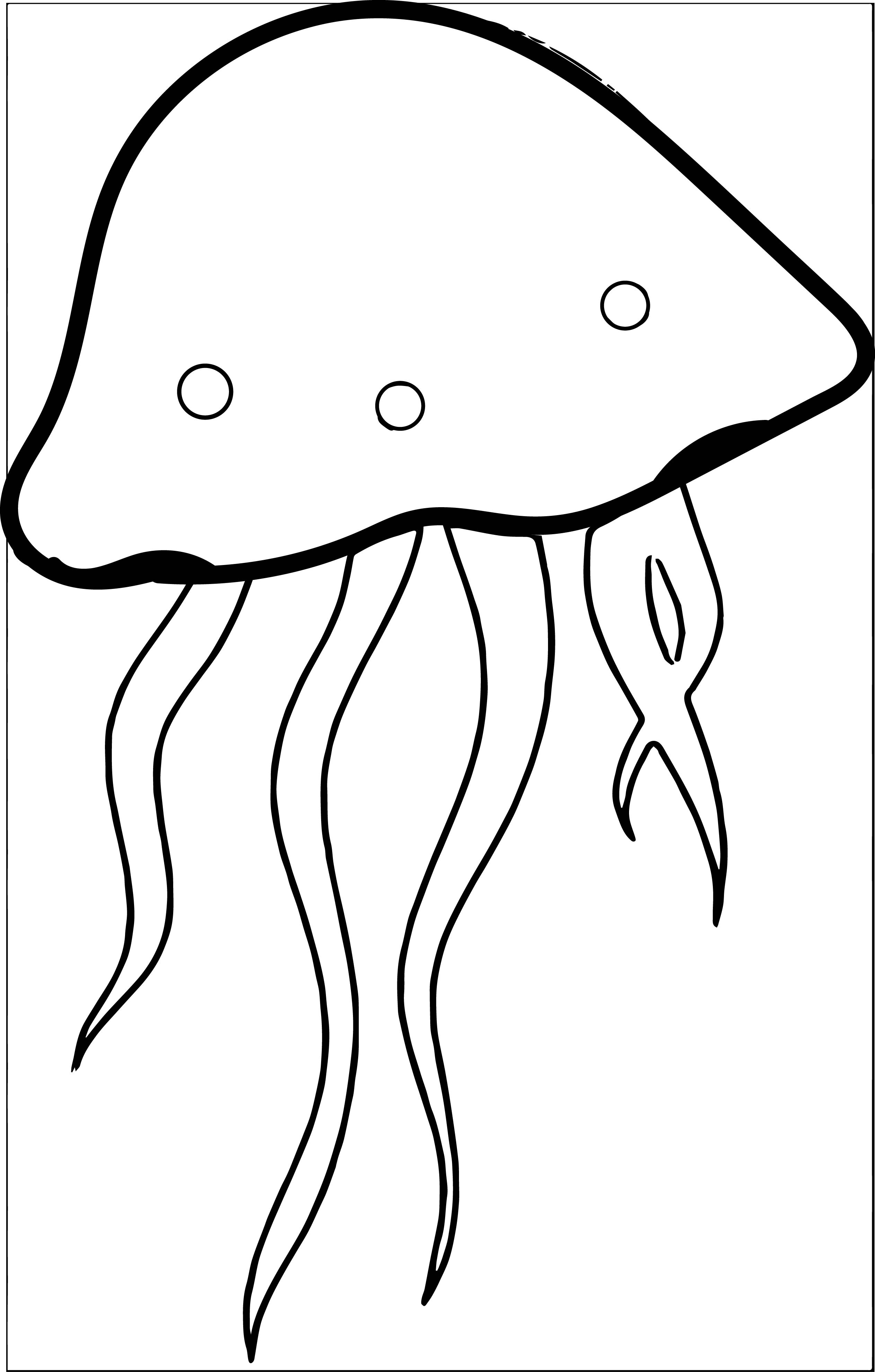 Jellyfish Clipart Black And White Jelly Fish.