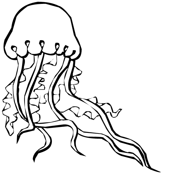 Jellyfish Outline.
