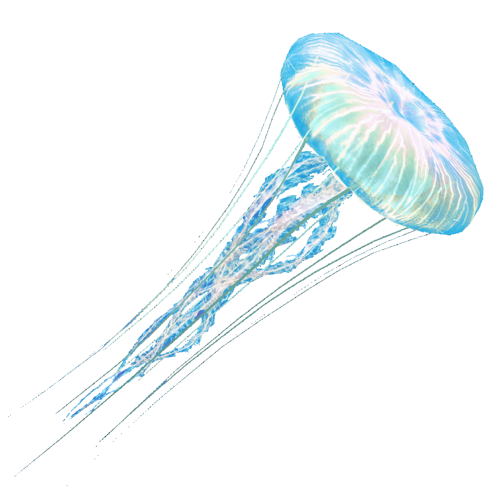 Jellyfish Png (92+ Images In Collection) #252626.