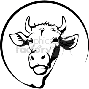 Black and white forward facing Jersey cow clipart. Royalty.