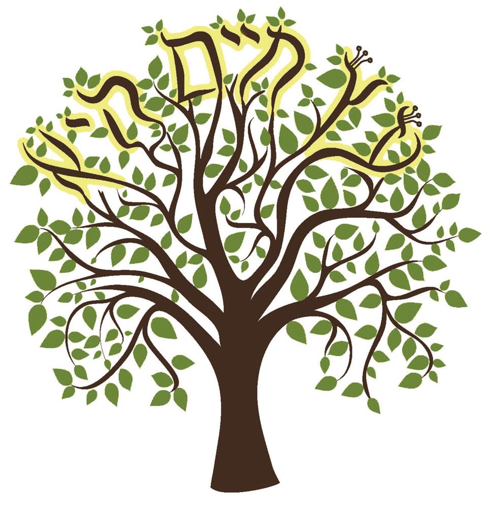 tree of life symbol meaning jewish