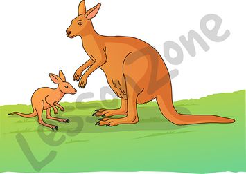 Kangaroo Joey Clipart.