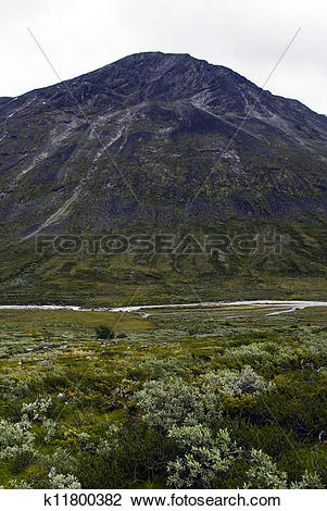 Stock Photo of Mountains and flora in Jotunheimen k11800382.