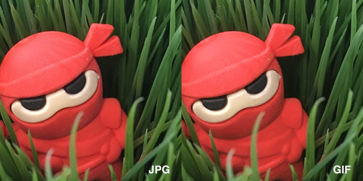 JPG vs PNG vs GIF vs SVG: When to Use Which?.