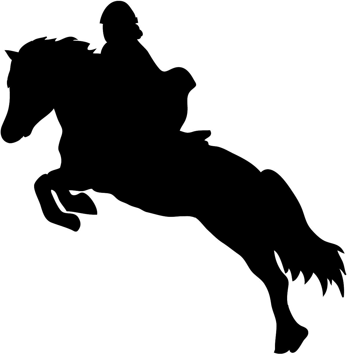 Show jumping horse silhouette with rider.