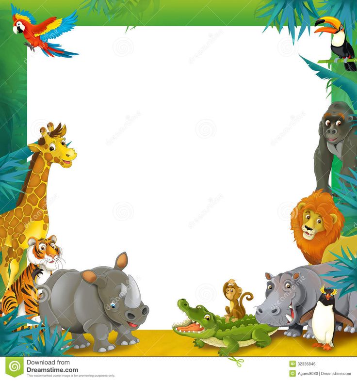 Jungle Animal Clipart Borders 20 Free Cliparts | Download Images On