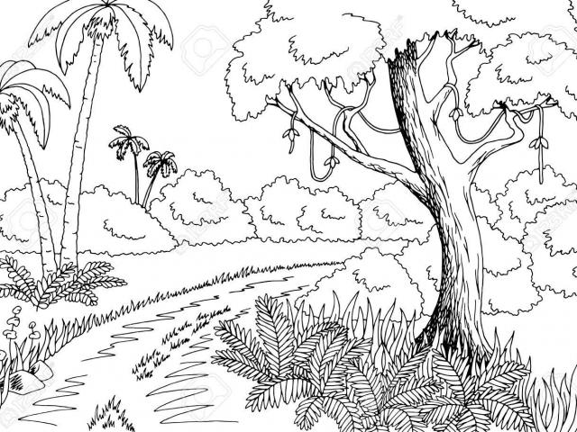 Free Jungle Clipart, Download Free Clip Art on Owips.com.