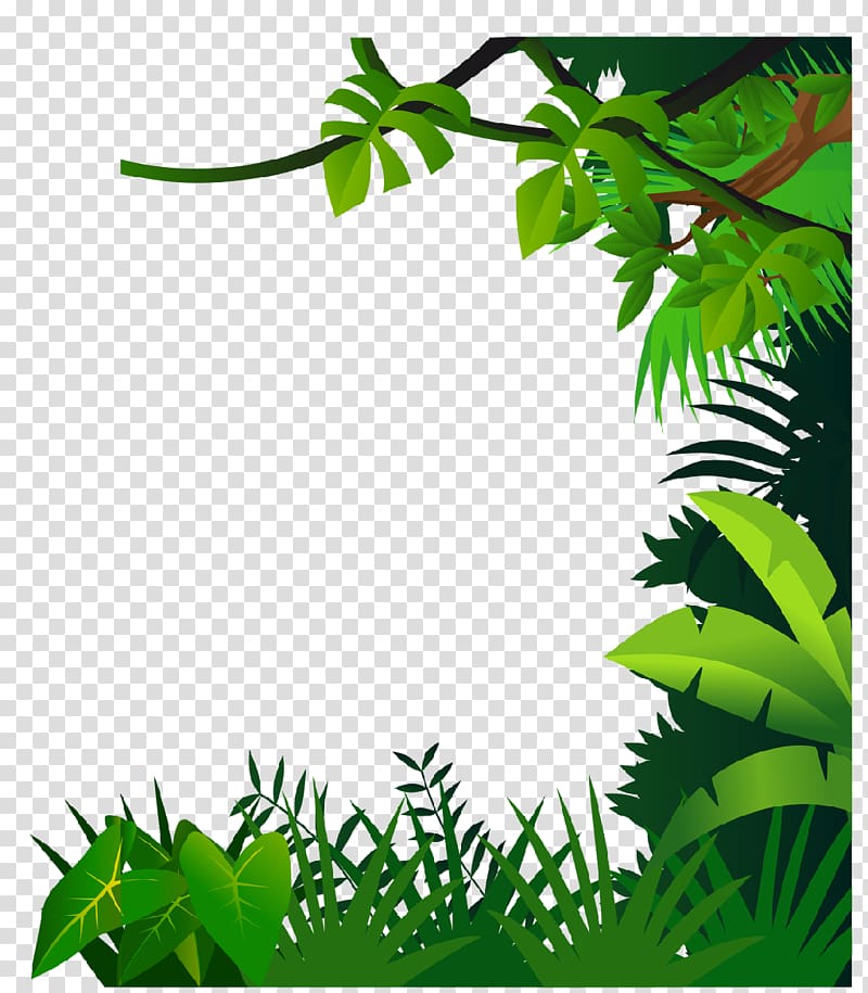 Green leafed plants illustration, Drawing Jungle , border.