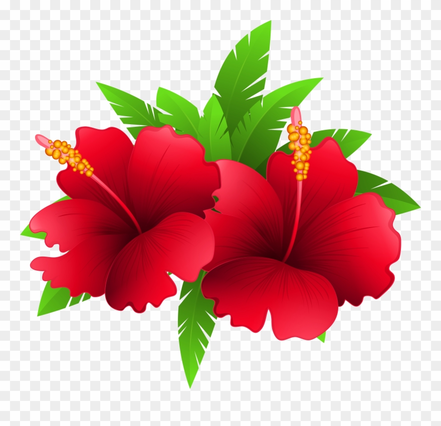Tropical Clipart Flowering Plant.