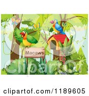 Cartoon Of Macaws With a Bird House and Sign.