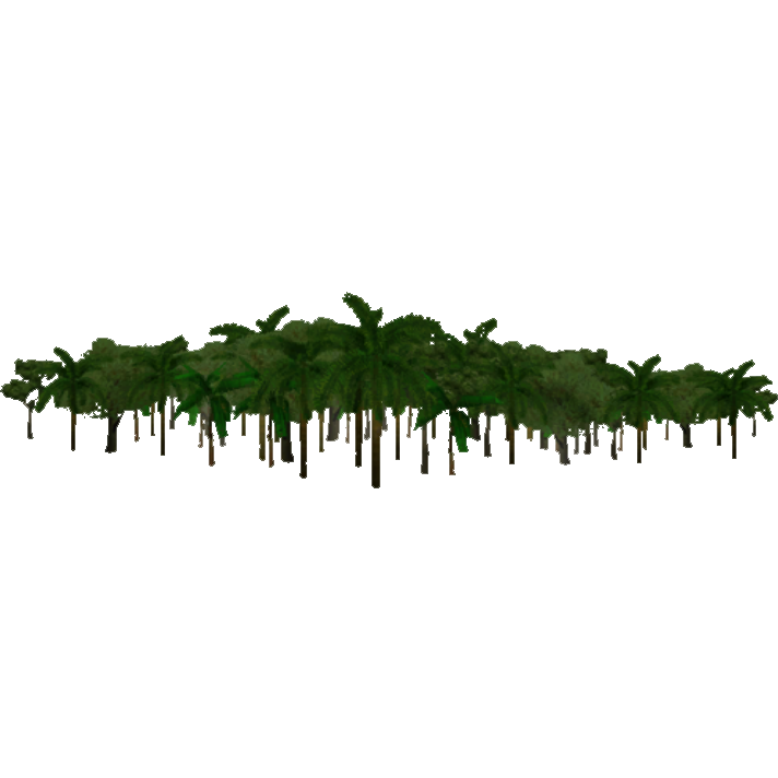 Jungle PNG Images Transparent Free Download.