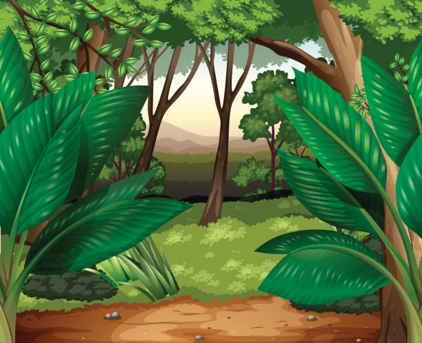 Clipart Jungle Scene.