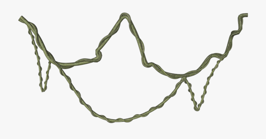 15 Jungle Vine Png For Free Download On Mbtskoudsalg.