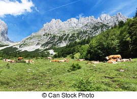 Stock Photo of Panoramic view in the Kaiser mountains in Tyrol in.