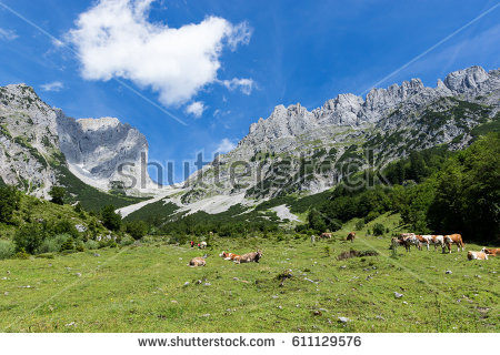 Kaiser Mountains Stock Images, Royalty.