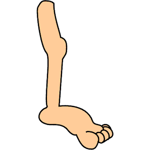 Leg Clipart & Leg Clip Art Images.