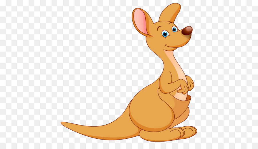 Kangaroo Cartoon png download.