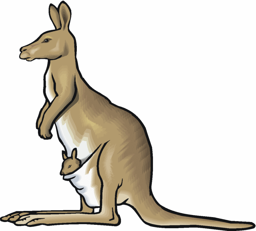 Kangaroo clipart.