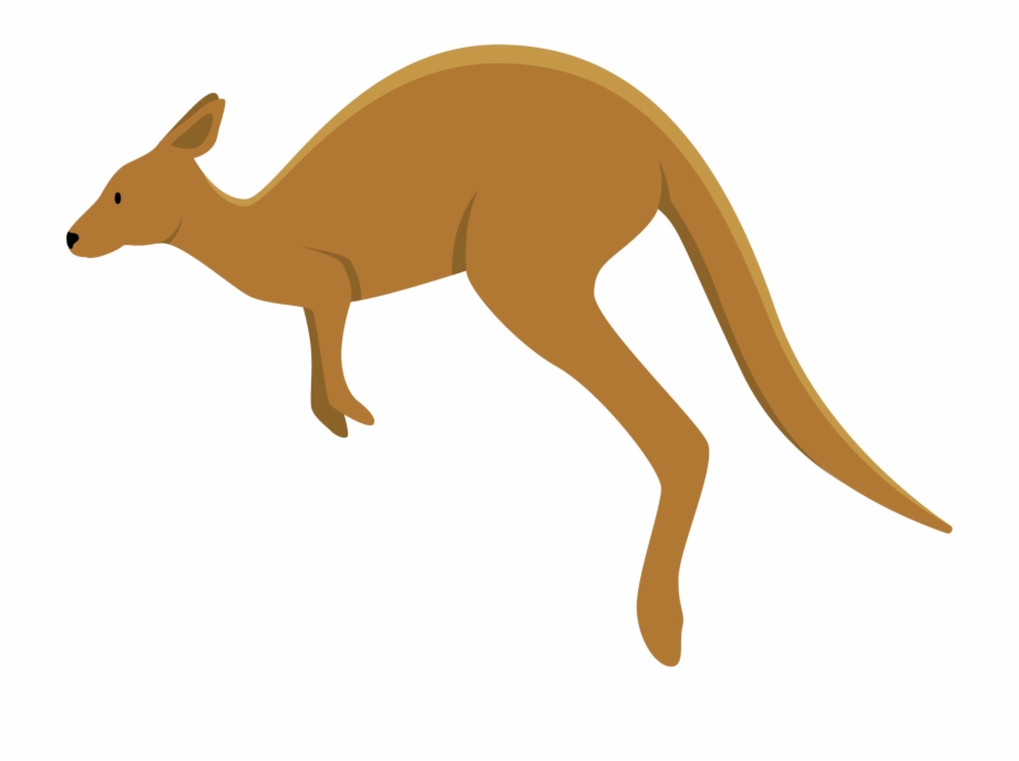 kangaroo png 10 free Cliparts | Download images on Clipground 2021