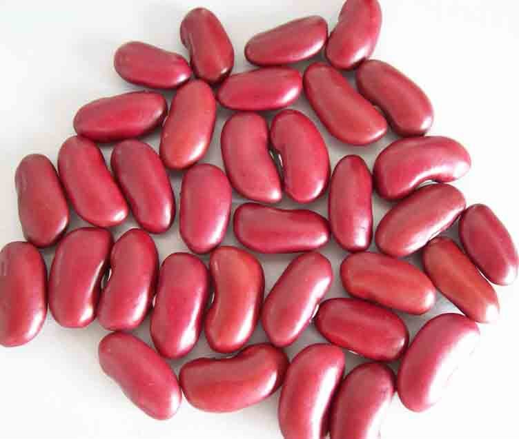 Kidney beans clipart 20 free Cliparts | Download images on Clipground 2021
