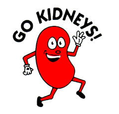 Free Right Kidney Cliparts, Download Free Clip Art, Free Clip Art on.