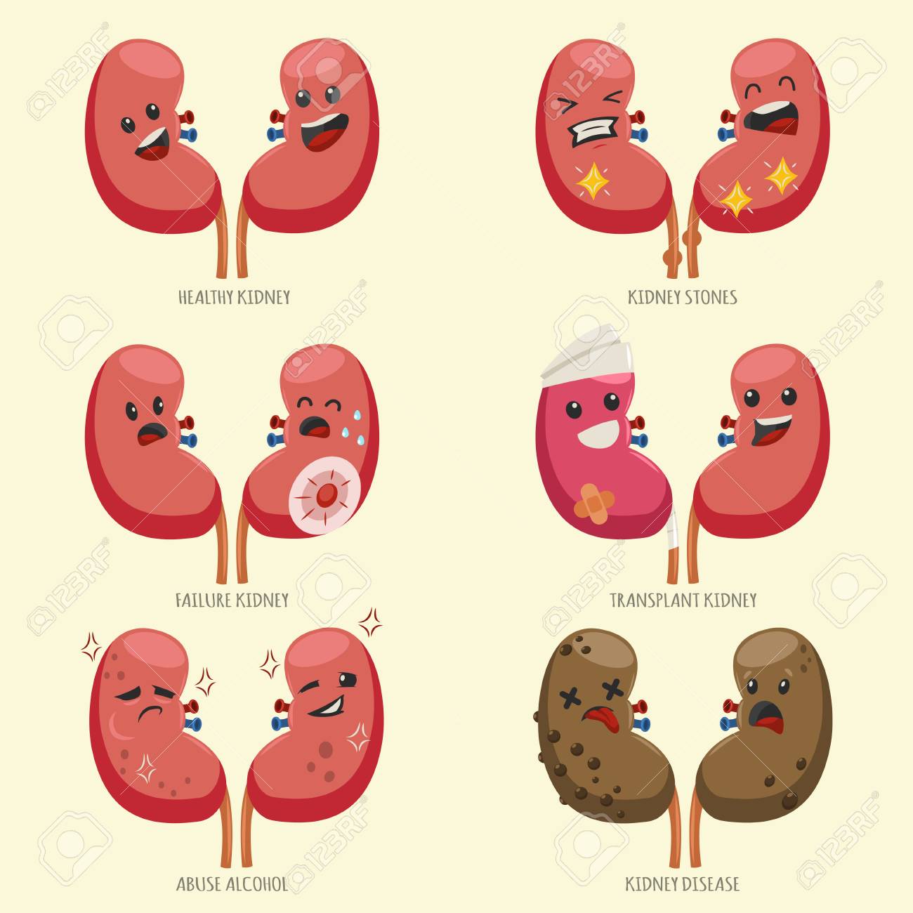 Cute kidney vector cartoon character set. Medical illustration...