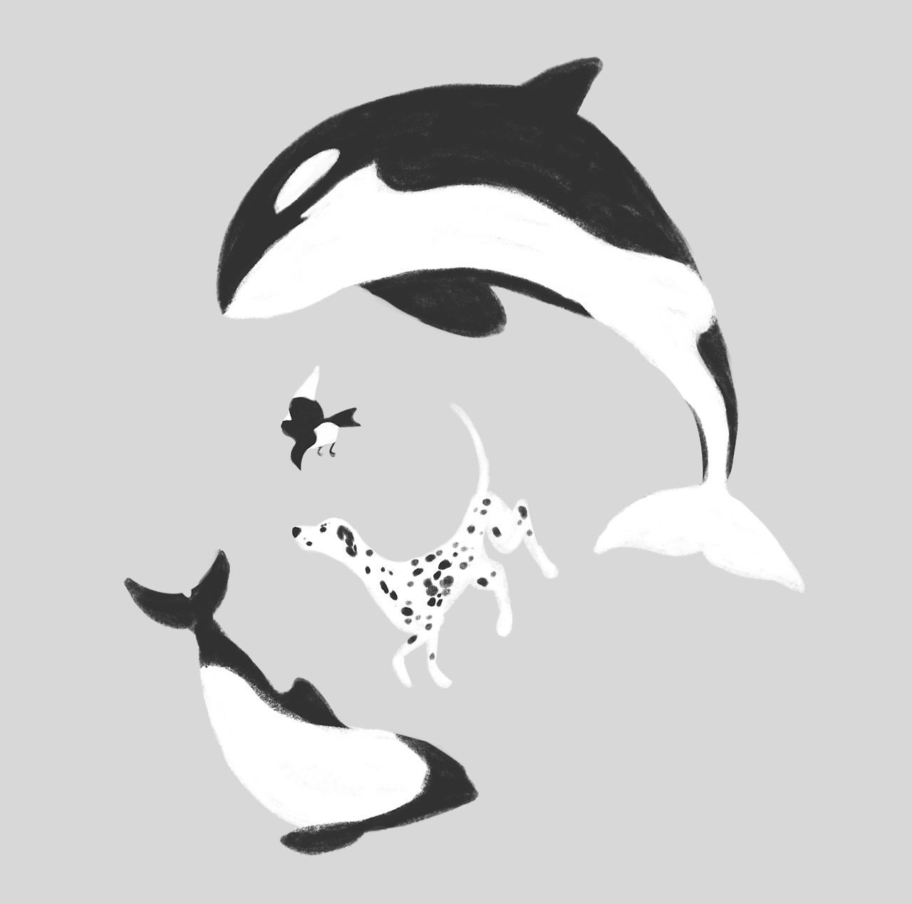 Free dolphin clipart black and white.