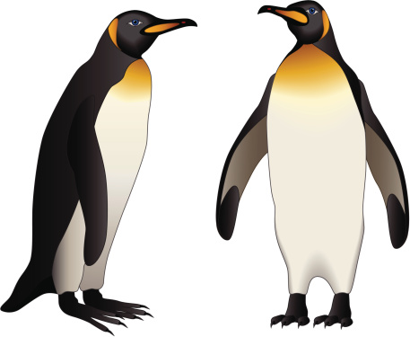 Similiar Emperor Penguin Clip Art Paid Keywords.