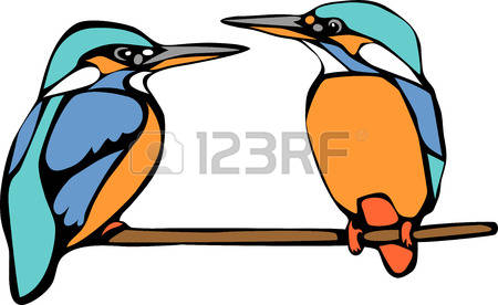 389 Kingfisher Bird Stock Vector Illustration And Royalty Free.