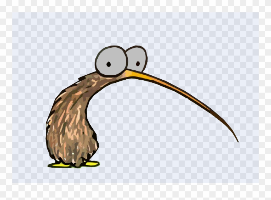 Kiwi Bird Clipart (#456464).