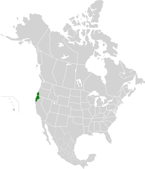 Klamath Mountains (ecoregion).